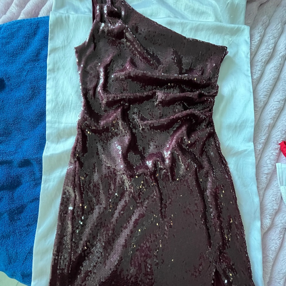 Wild Fable Burgundy Sequin Top